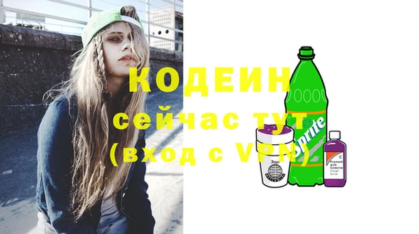 гашик Няндома