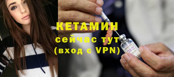 гашик Няндома