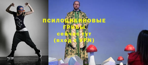 гашик Няндома