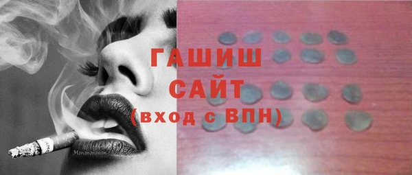 гашик Няндома