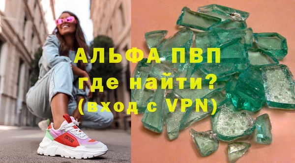 гашик Няндома