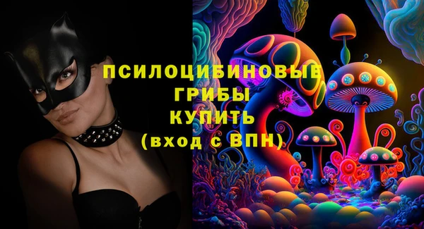 гашик Няндома