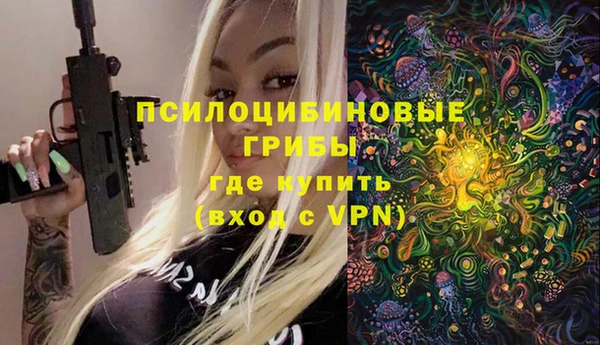 гашик Няндома