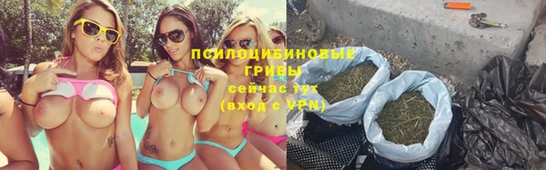 дурь Нязепетровск