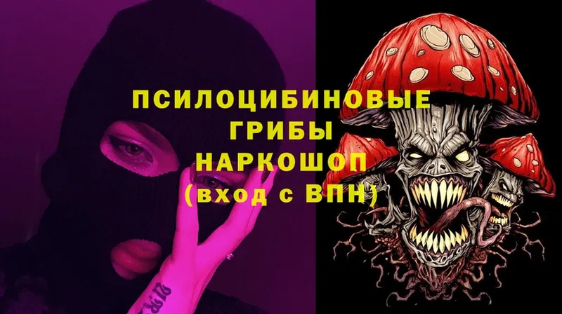 Галлюциногенные грибы Psilocybine cubensis  где продают   OMG tor  Кировск 