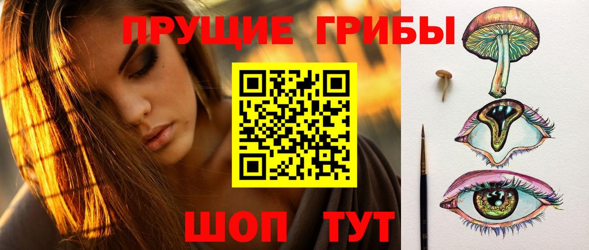 Псилоцибиновые грибы ЛСД  Кировск  Галлюциногенные грибы Psilocybe 