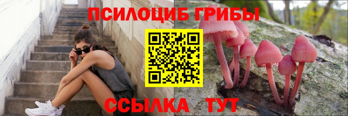 Псилоцибиновые грибы мицелий Кировск