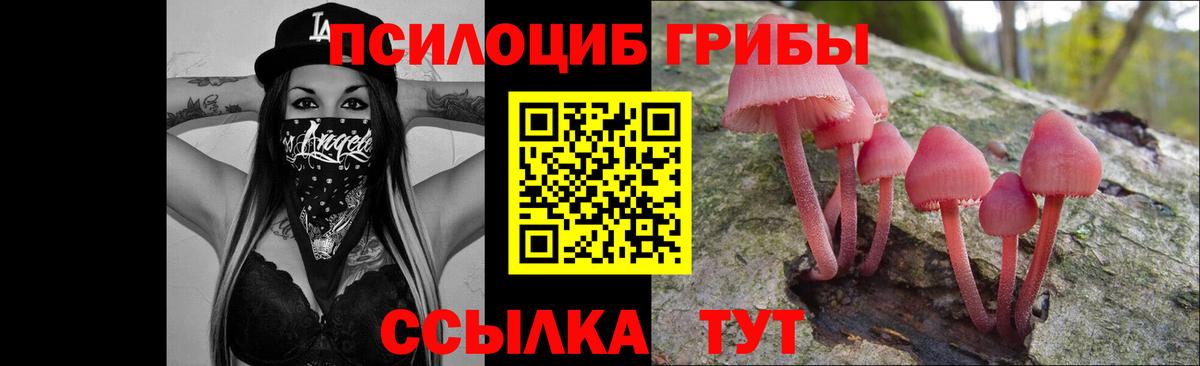 Кировск  Галлюциногенные грибы MAGIC MUSHROOMS  Вход с VPN 