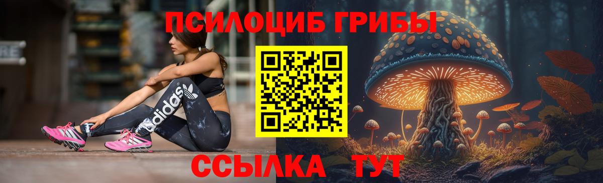 Галлюциногенные грибы GOLDEN TEACHER Кировск