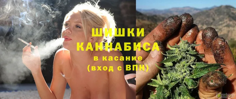 Канабис OG Kush  наркошоп  mega   Кировск 